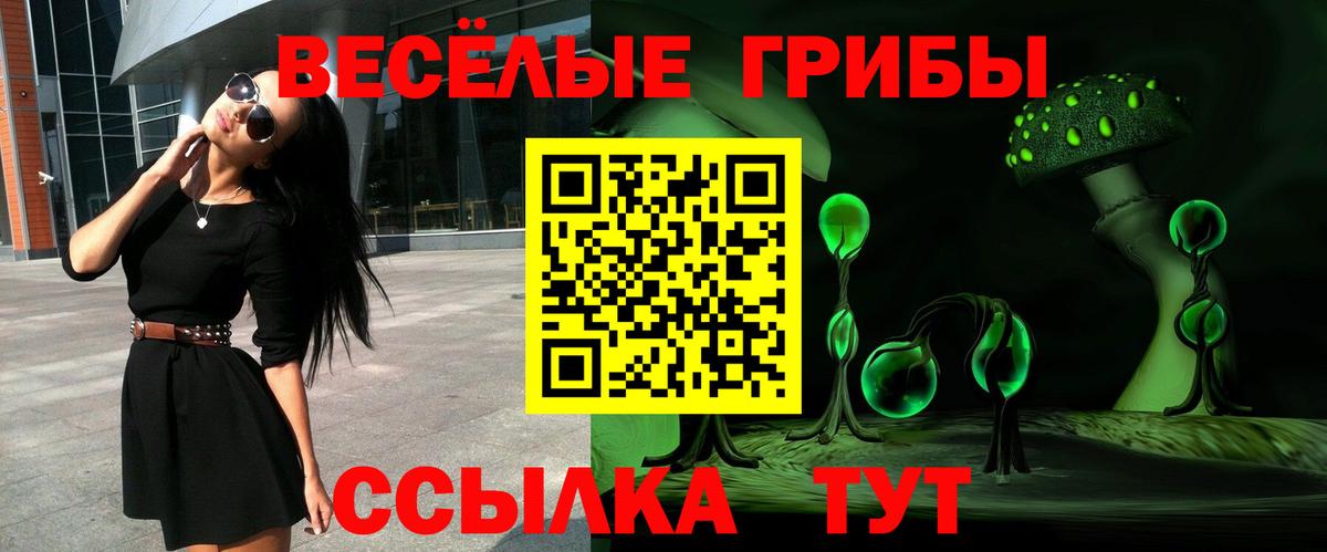 Псилоцибиновые грибы прущие грибы  Вход с VPN  Богородицк 
