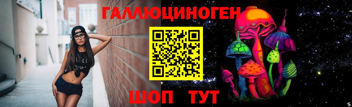 хочу   Богородицк  Галлюциногенные грибы Psilocybine cubensis  Галлюциногенные грибы мицелий 